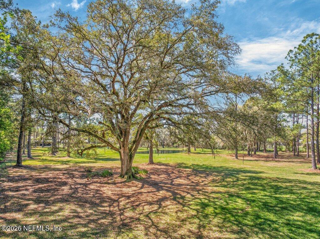 308 Palmetto Bluff Road Palatka, FL 32177 - Photo 44 of 47 044-308PalmettoBluffRoad-Palatka-FL-3217