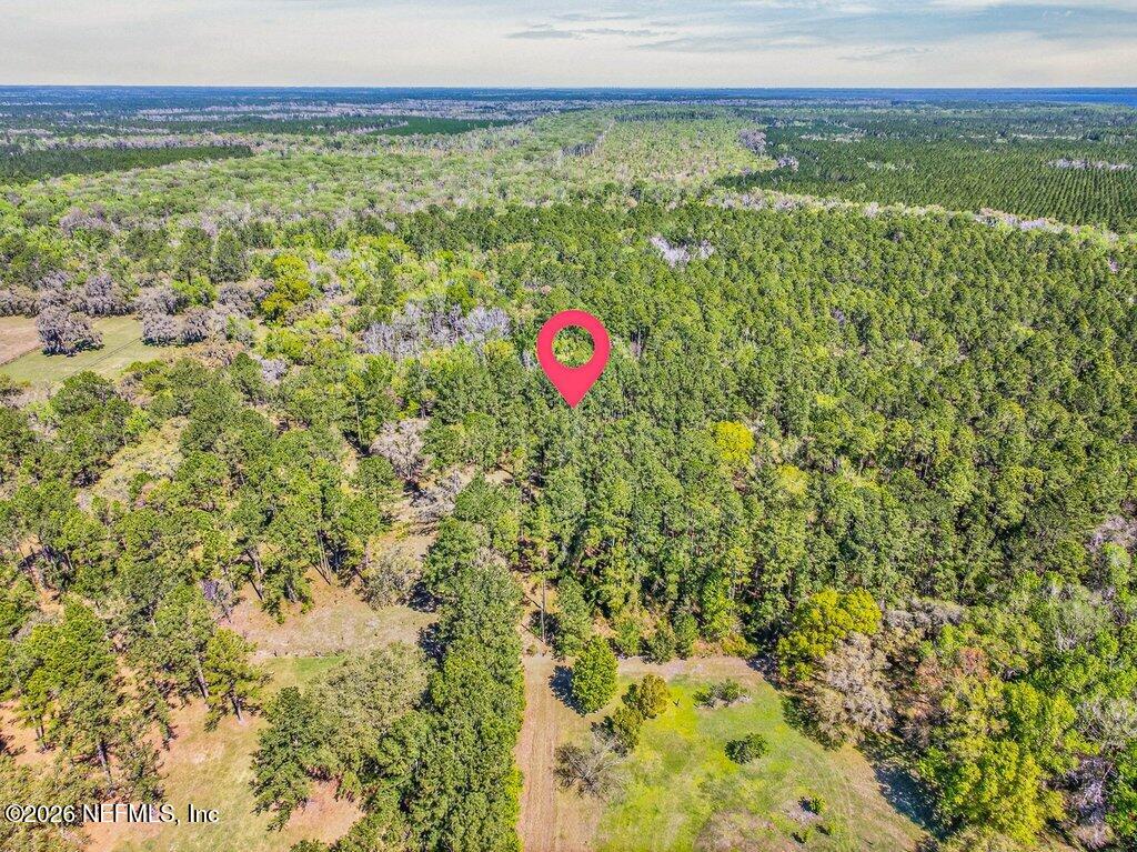 308 Palmetto Bluff Road Palatka, FL 32177 - Photo 46 of 47 047-308PalmettoBluffRoad-Palatka-FL-3217