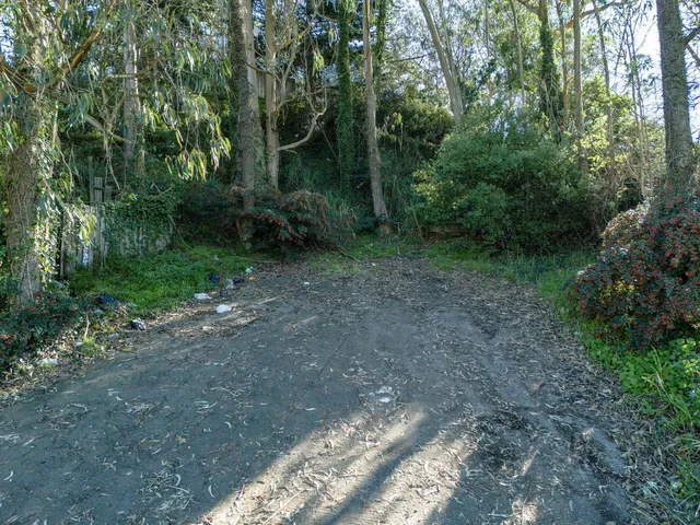 a picture of a floor to ceiling window