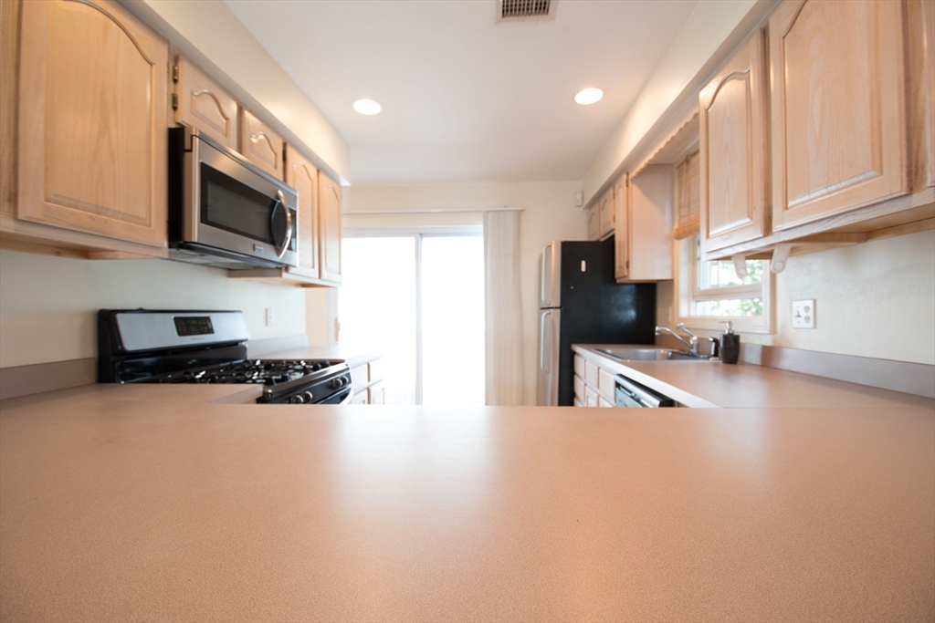 3 Judge Street Path, Unit 3 Boston, MA 02120 - Photo 3 of 14