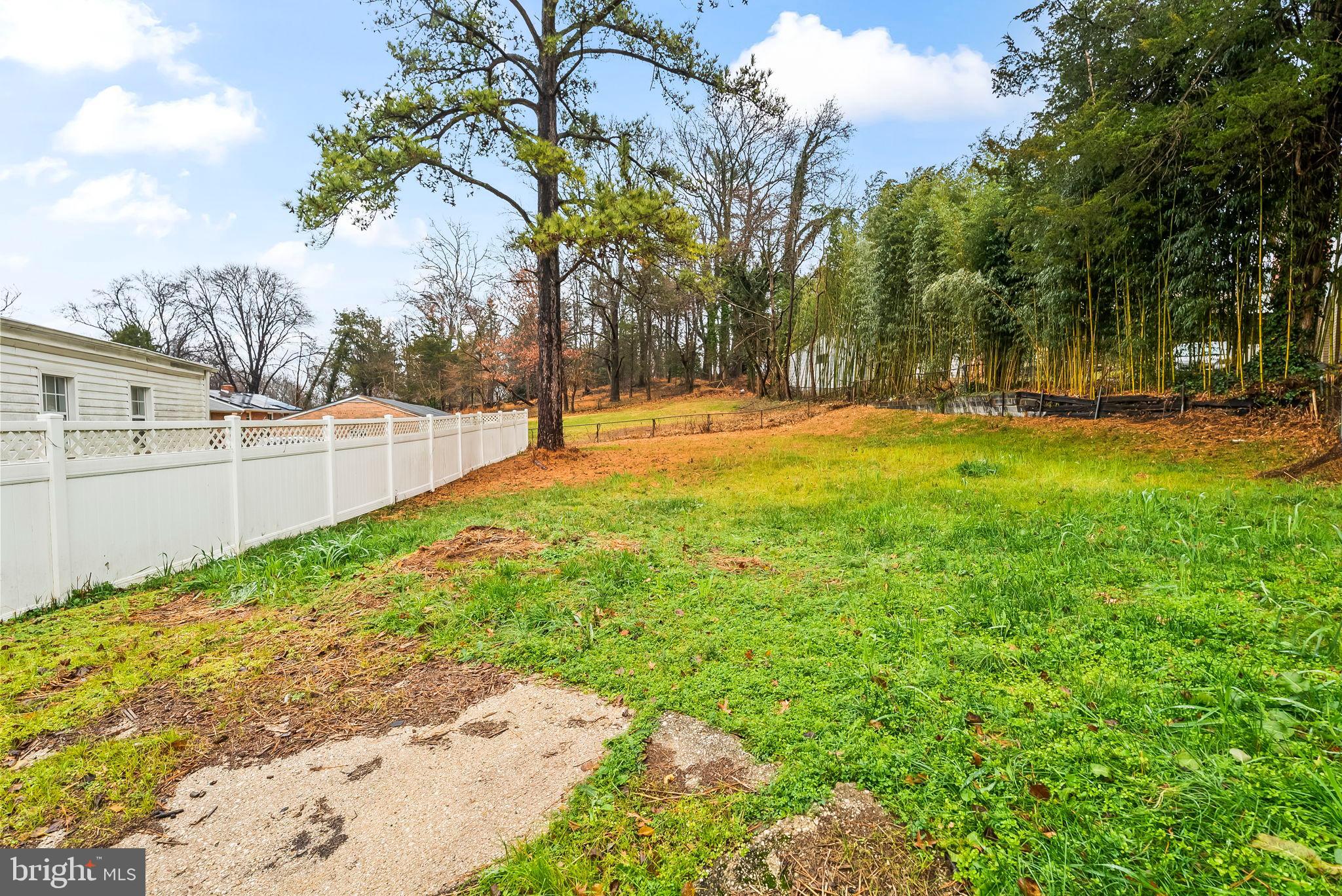 4302 Henderson Road Temple Hills, MD 20748 - Photo 32 of 33 Spacious green lot with serene tree line.