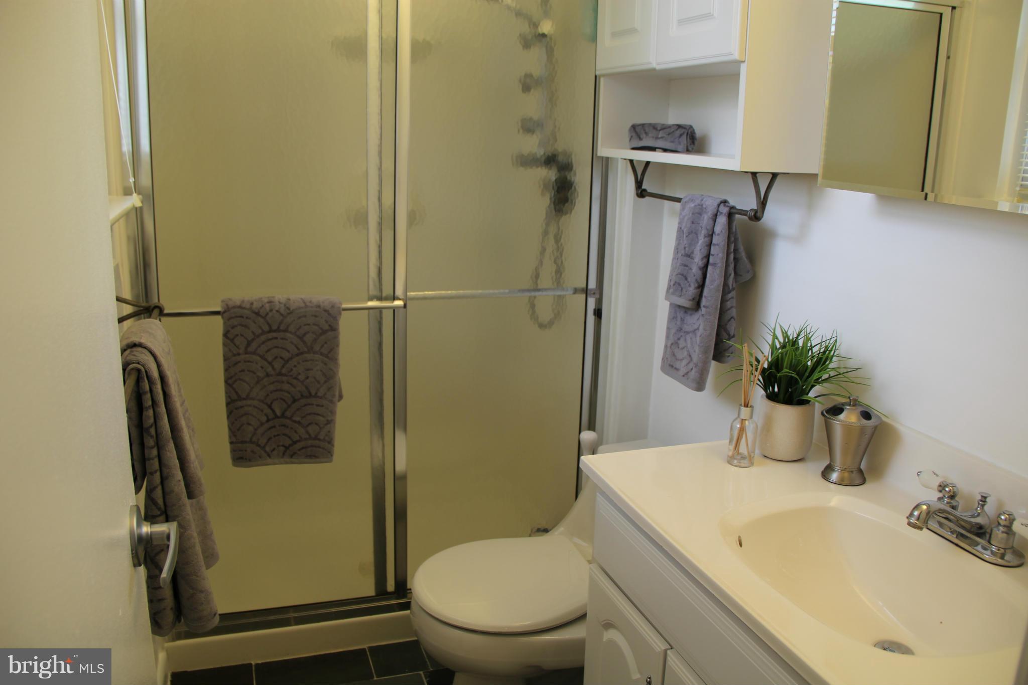 7809 Metacomet Road Hanover, MD 21076 - Photo 14 of 24 Master bathroom