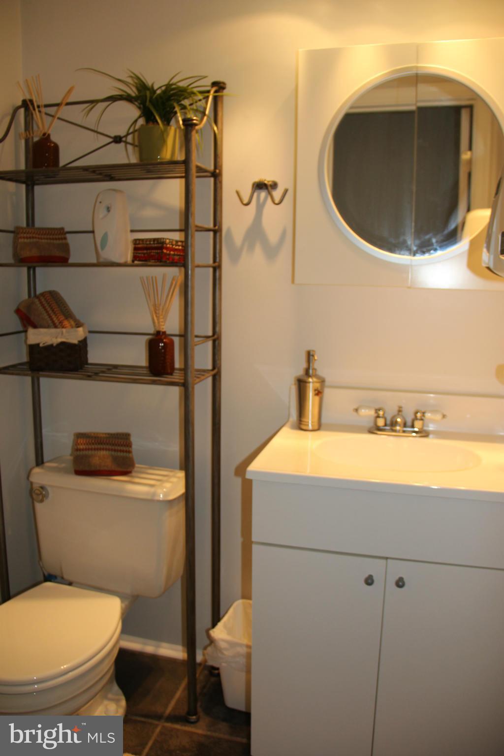 7809 Metacomet Road Hanover, MD 21076 - Photo 10 of 24 Lower level bathroom