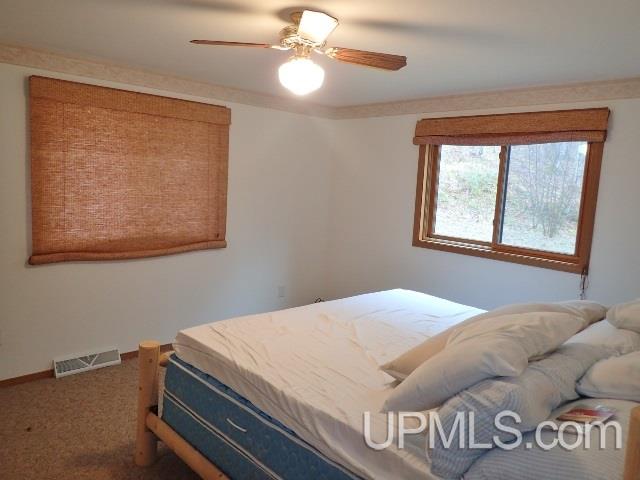 E5692 Chaney Lake Road Bessemer, MI 49911 - Photo 19 of 28 Gallery Image 19