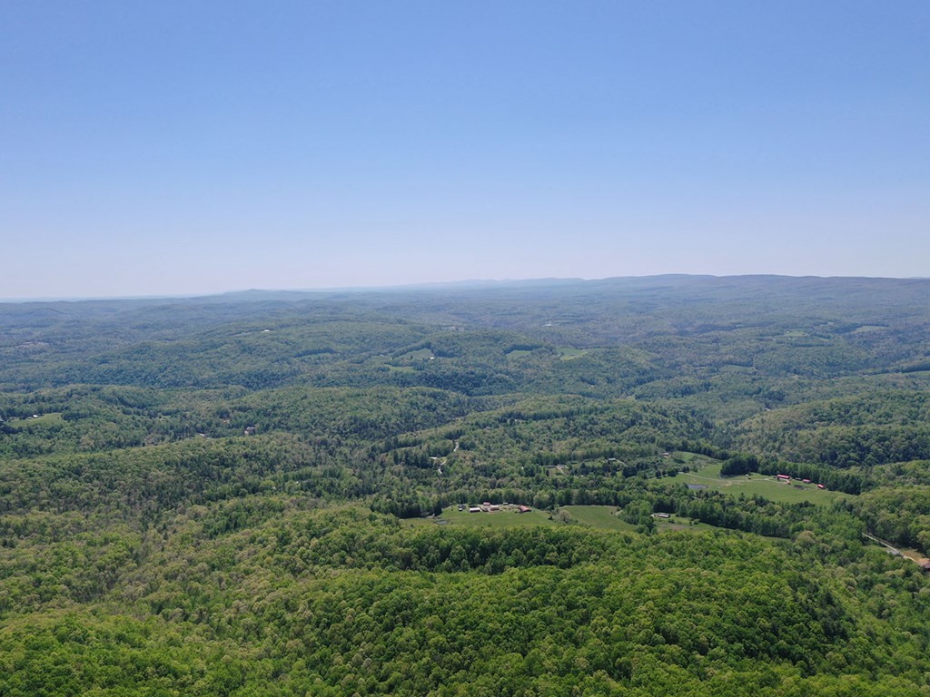 18 Grouse Ridge Road Harriman, TN 37748 - Photo 8 of 21 Gallery Image 8