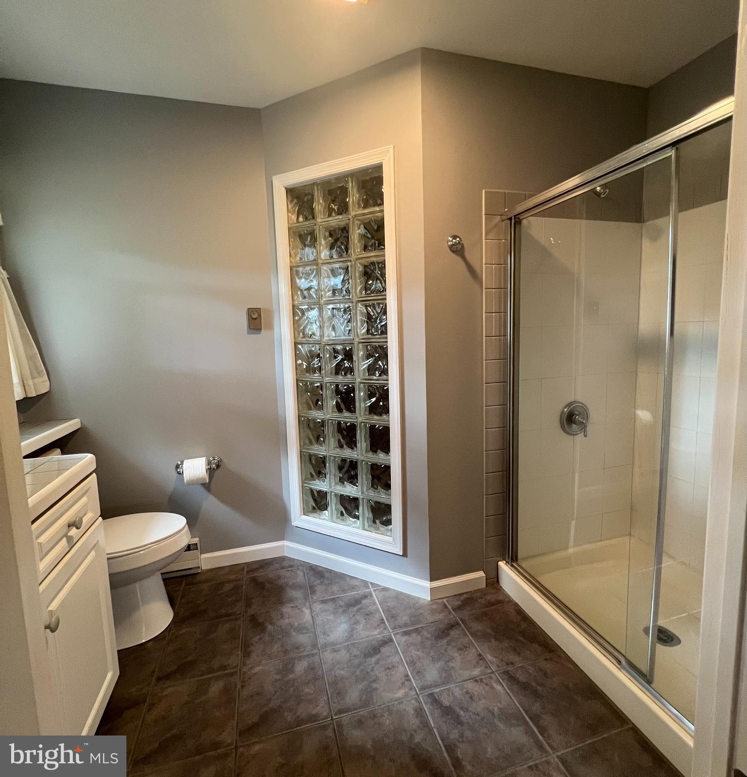 8840 Shell Road Delmar, MD 21875 - Photo 10 of 11 primary bathroom