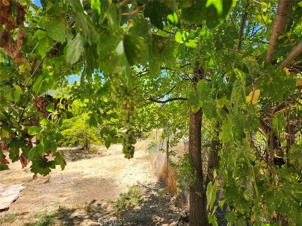 $320,000 | 3950 Emile Avenue, Clearlake, CA 95422