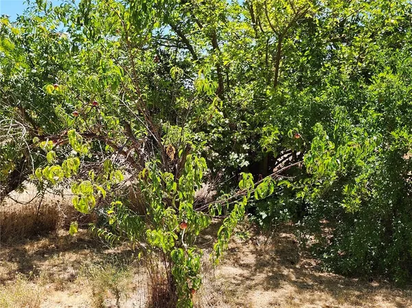 $320,000 | 3950 Emile Avenue, Clearlake, CA 95422