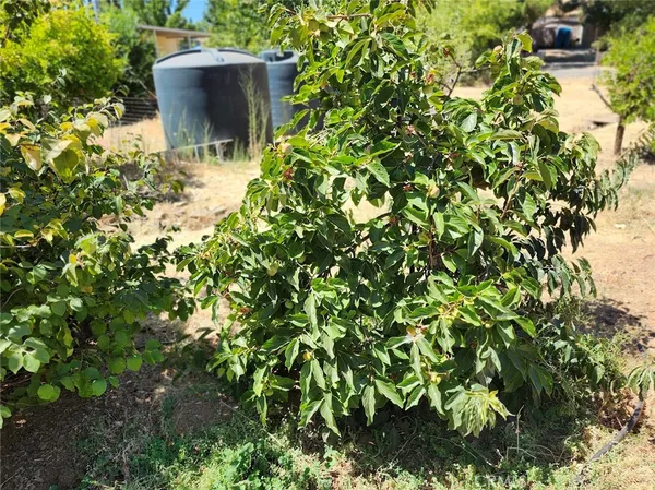 $320,000 | 3950 Emile Avenue, Clearlake, CA 95422