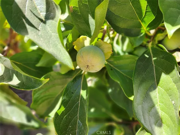 $320,000 | 3950 Emile Avenue, Clearlake, CA 95422