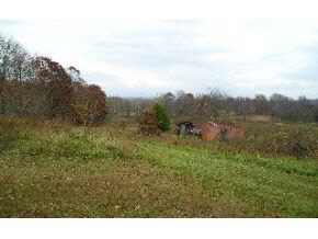 1192 Box Springville, IN 47462 - Photo 4 of 6