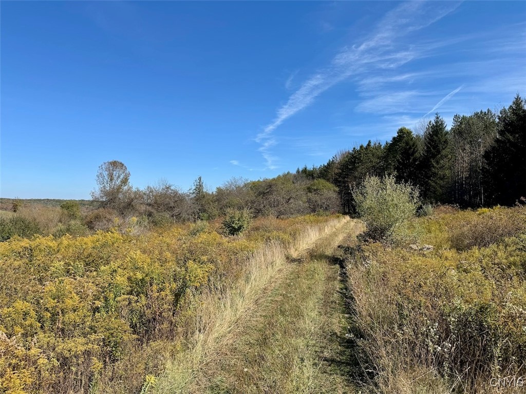 Gleason Hill Road Belfast, NY 14711 - Photo 11 of 50