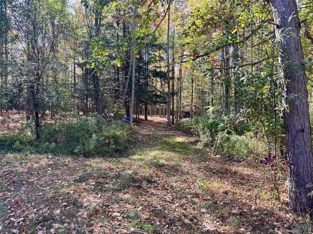 Gleason Hill Road Belfast, NY 14711 - Photo 12 of 50