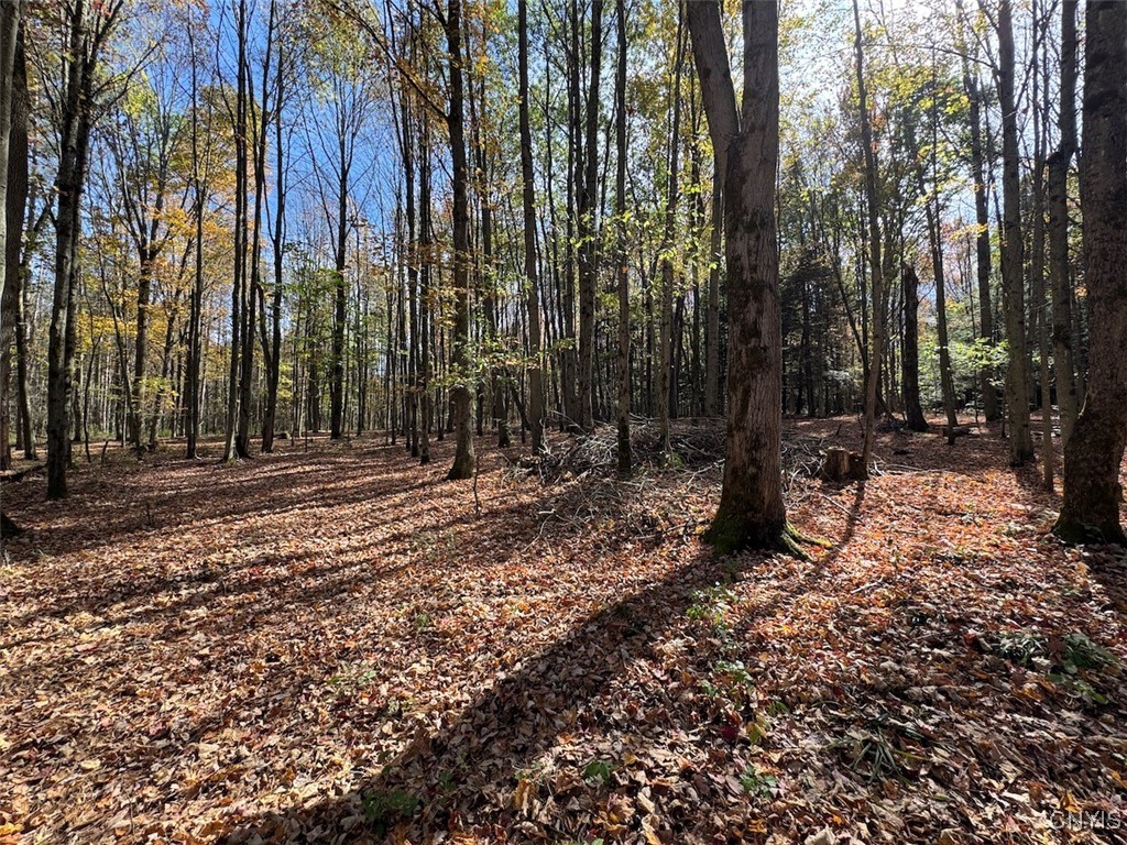 Gleason Hill Road Belfast, NY 14711 - Photo 2 of 50