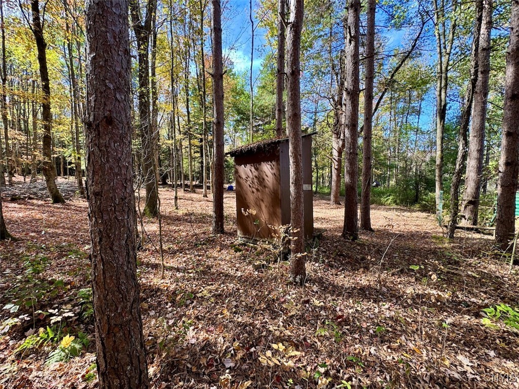 Gleason Hill Road Belfast, NY 14711 - Photo 24 of 50