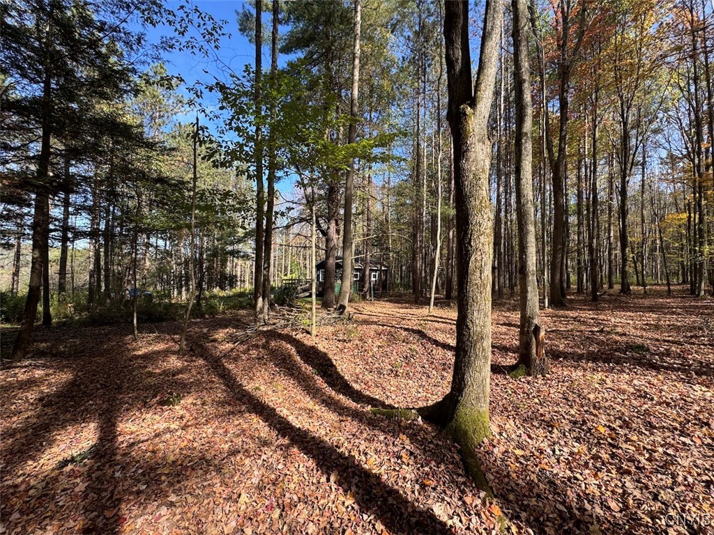 Gleason Hill Road Belfast, NY 14711 - Photo 25 of 50