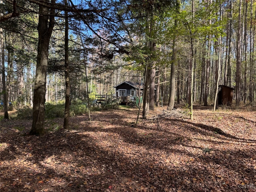 Gleason Hill Road Belfast, NY 14711 - Photo 26 of 50