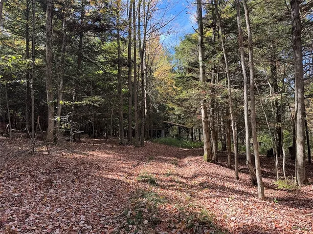 $225,000 | Gleason Hill Road, Belfast, NY 14711