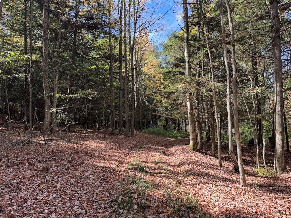 Gleason Hill Road Belfast, NY 14711 - Photo 27 of 50