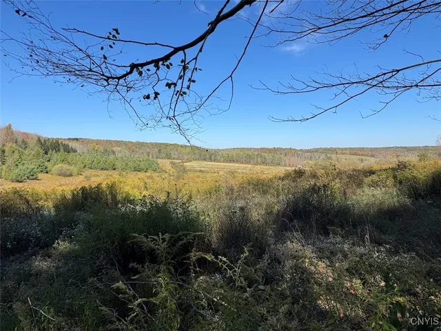 $225,000 | Gleason Hill Road, Belfast, NY 14711