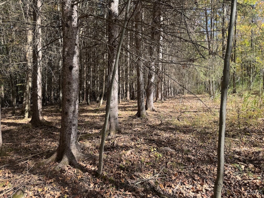 Gleason Hill Road Belfast, NY 14711 - Photo 33 of 50