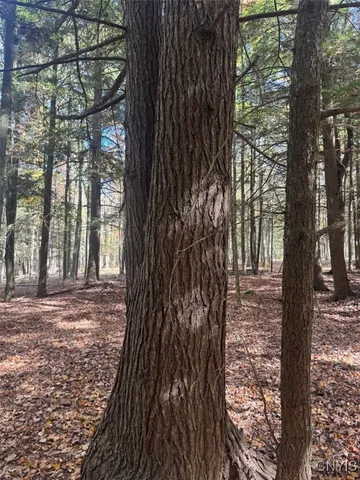 $225,000 | Gleason Hill Road, Belfast, NY 14711