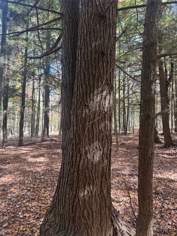 Gleason Hill Road Belfast, NY 14711 - Photo 34 of 50