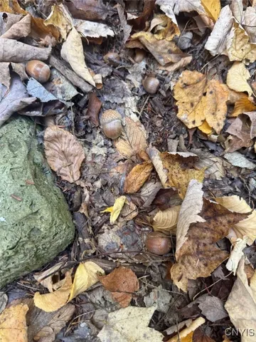 $225,000 | Gleason Hill Road, Belfast, NY 14711