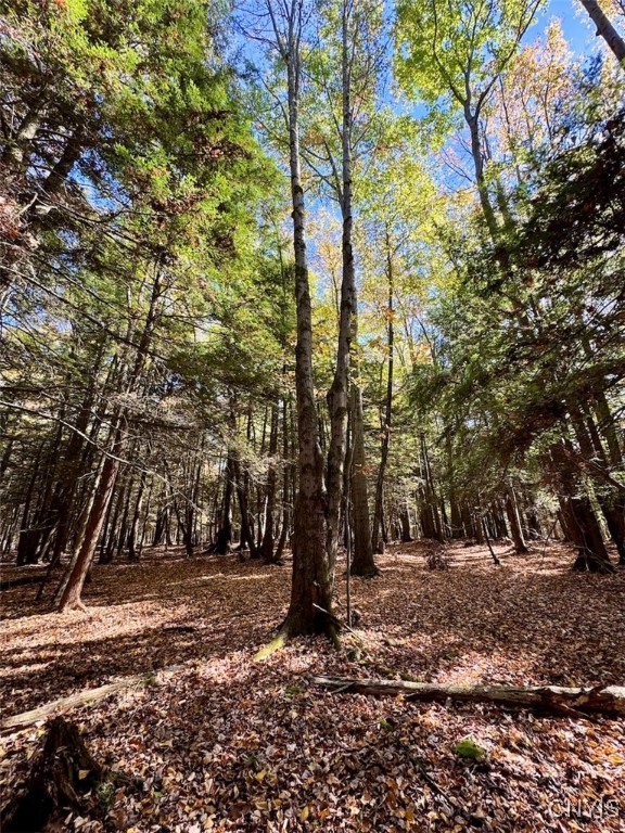 Gleason Hill Road Belfast, NY 14711 - Photo 36 of 50