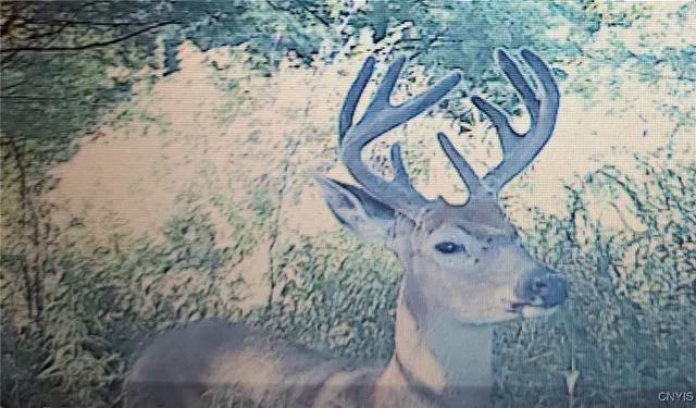 $225,000 | Gleason Hill Road, Belfast, NY 14711