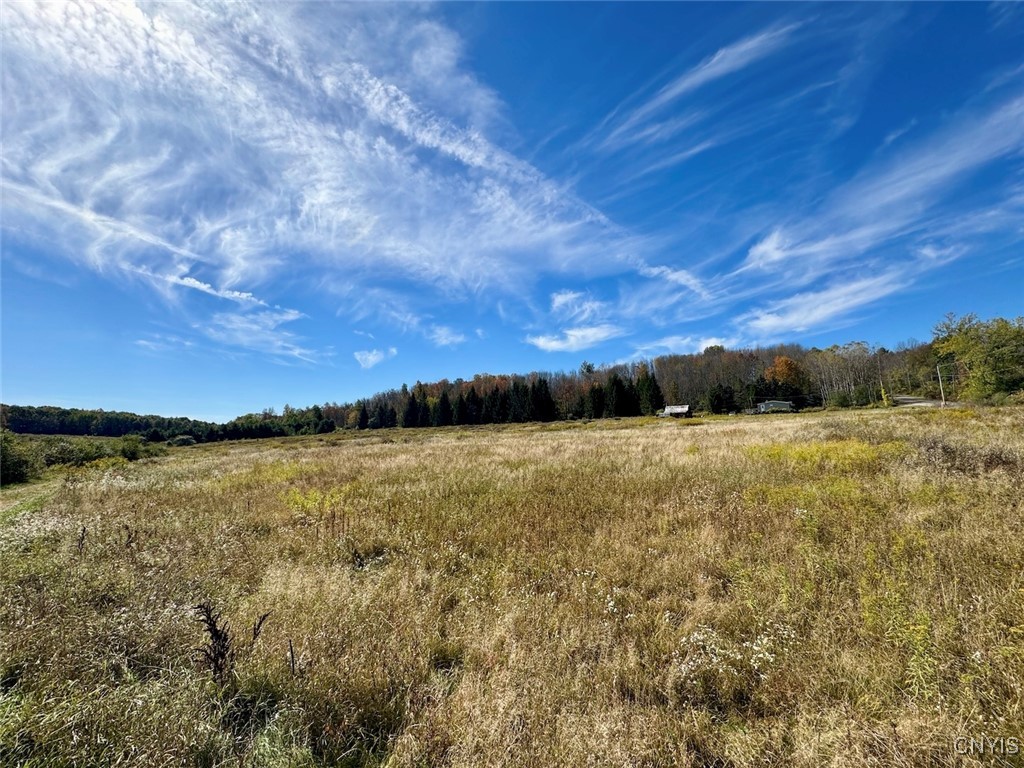 Gleason Hill Road Belfast, NY 14711 - Photo 4 of 50