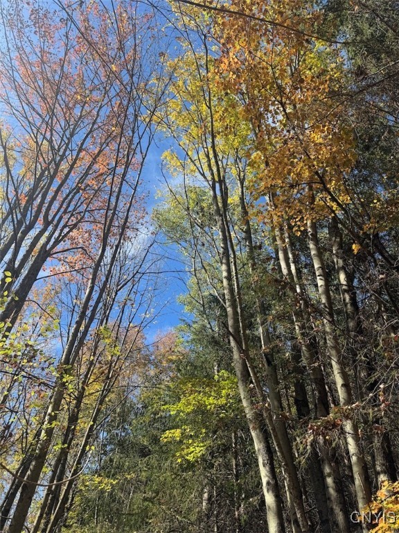 Gleason Hill Road Belfast, NY 14711 - Photo 43 of 50