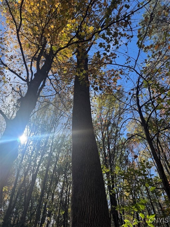 Gleason Hill Road Belfast, NY 14711 - Photo 44 of 50