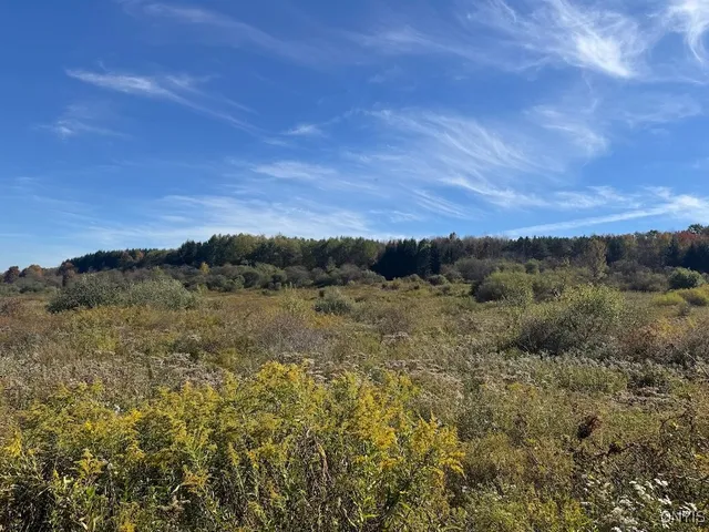 $225,000 | Gleason Hill Road, Belfast, NY 14711