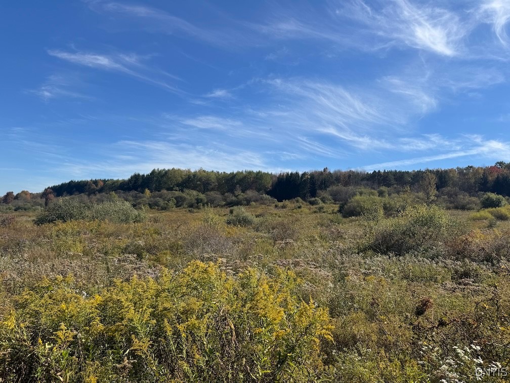 Gleason Hill Road Belfast, NY 14711 - Photo 45 of 50