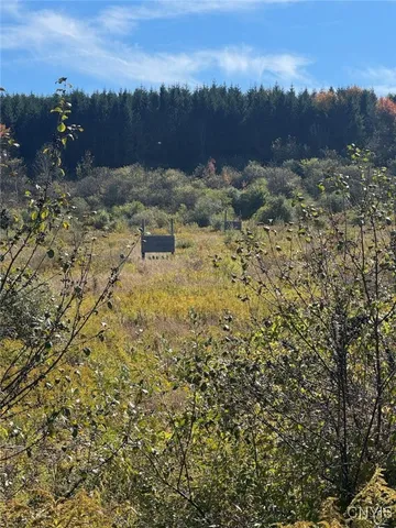 $225,000 | Gleason Hill Road, Belfast, NY 14711