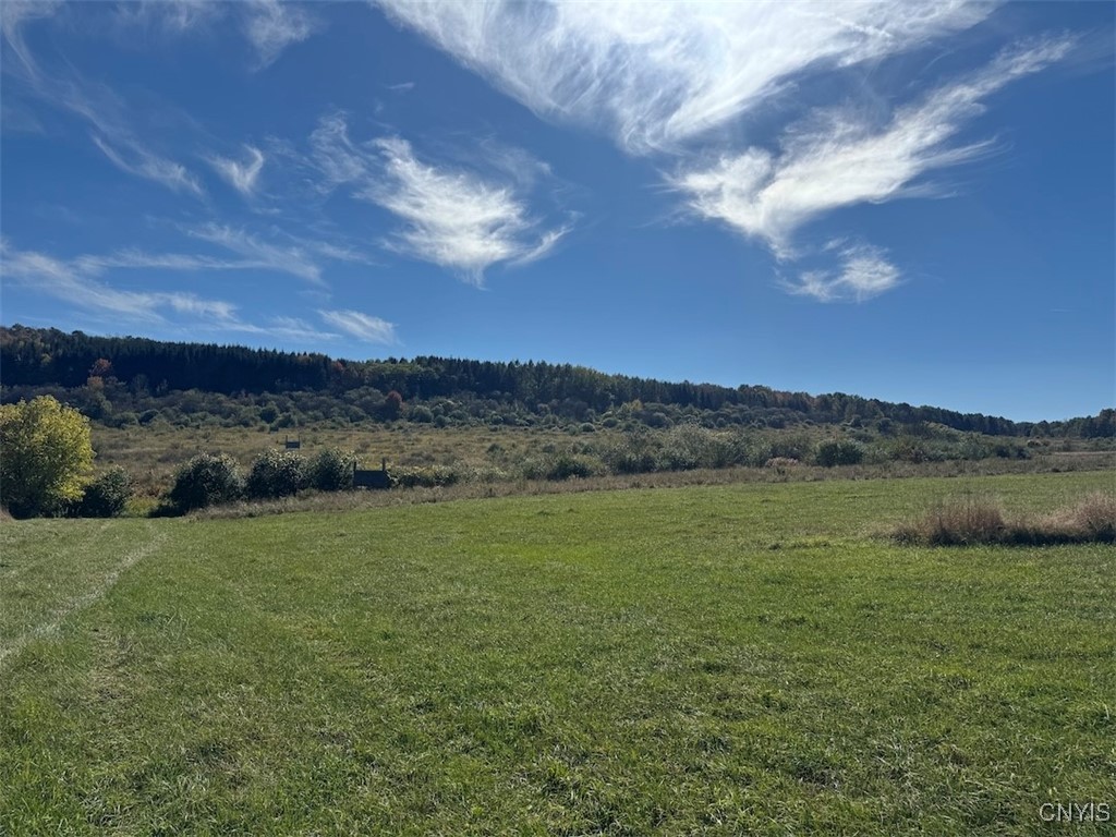 Gleason Hill Road Belfast, NY 14711 - Photo 47 of 50