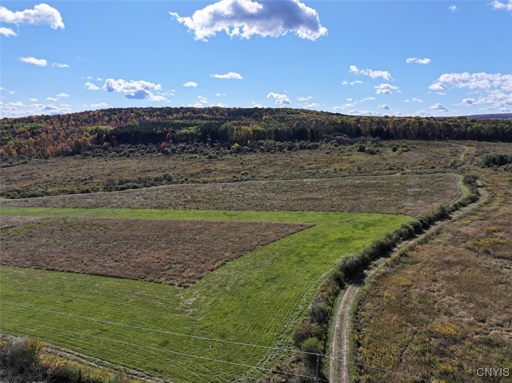 Gleason Hill Road Belfast, NY 14711 - Photo 9 of 50
