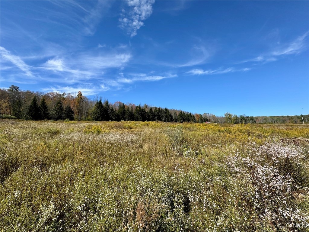 Gleason Hill Road Belfast, NY 14711 - Photo 10 of 50