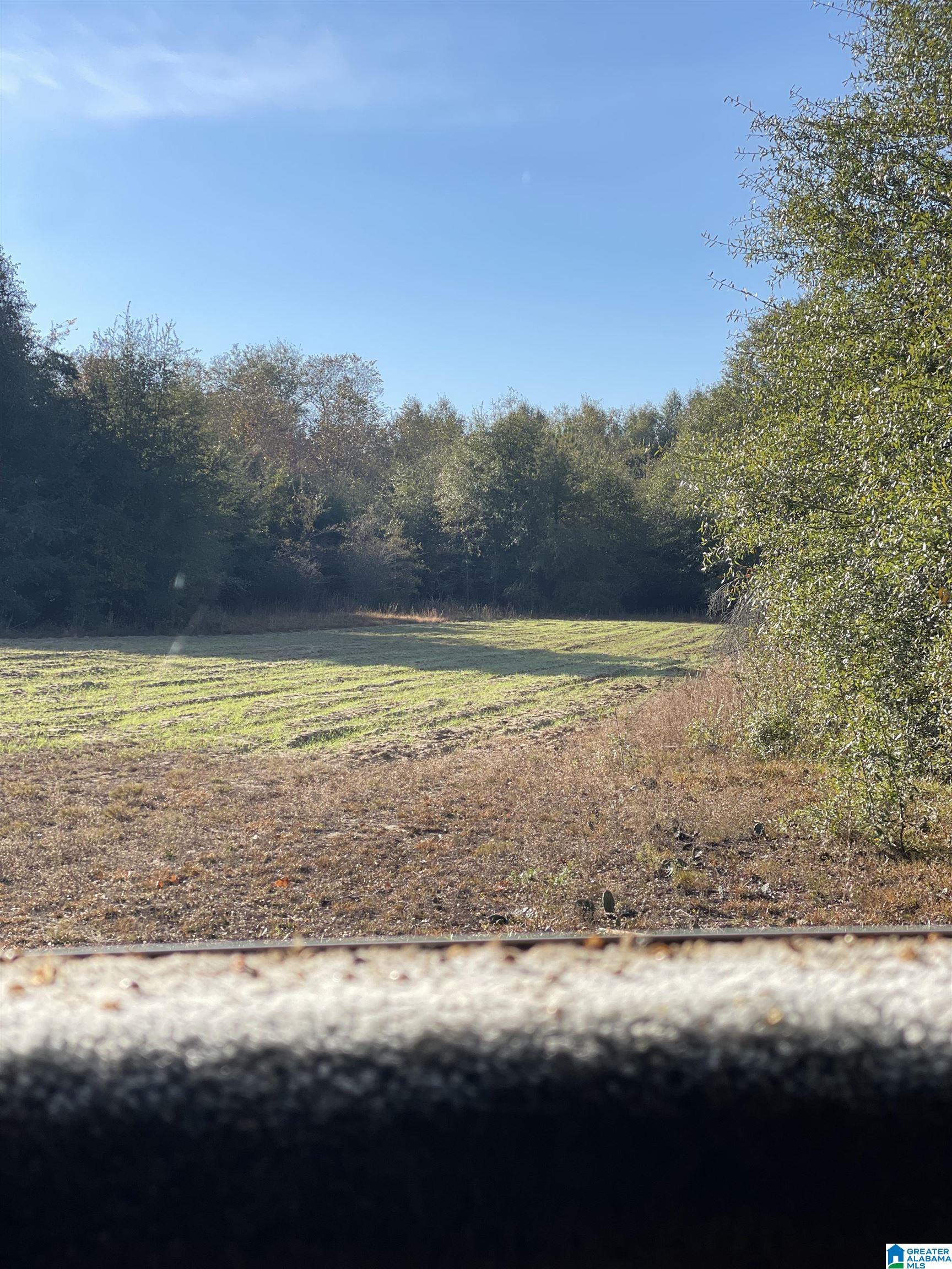 0 County Road 44 Linden, AL 36748 - Photo 33 of 48