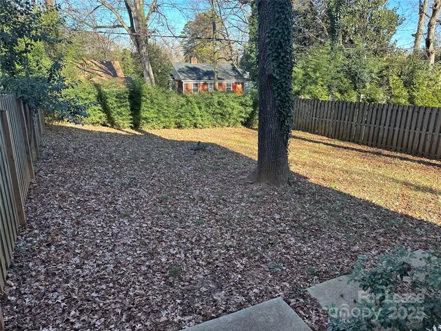 a view of a yard with plants and large trees