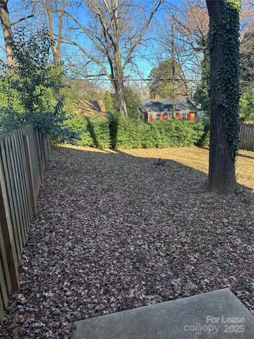 a view of plants and trees in the back yard