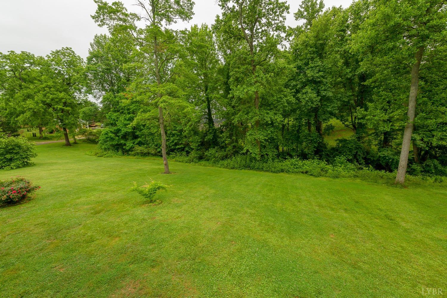 149 Locust Street Amherst, VA 24521 - Photo 66 of 86 a view of a green field with trees