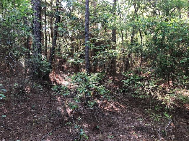3-ac Lester Bell Road Selma, AL 36701 - Photo 4 of 11 Gallery Image 4