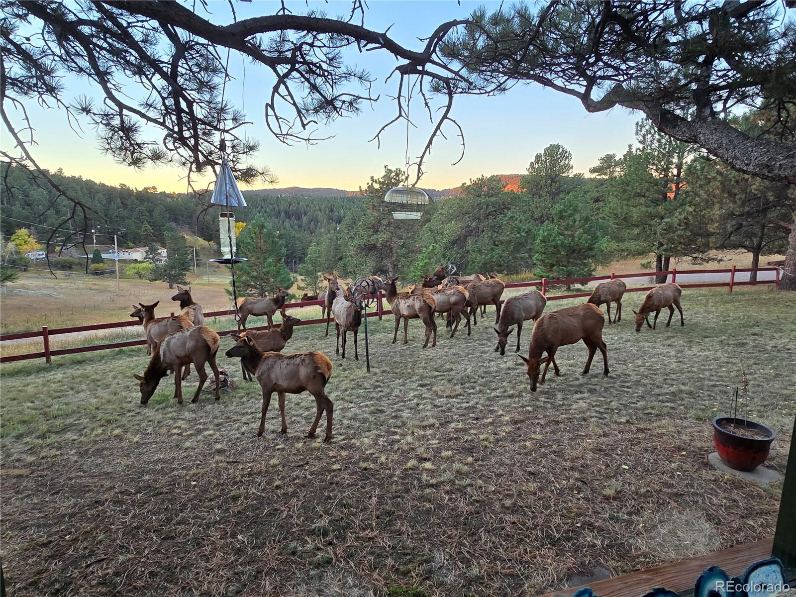 22901 Pinecrest Road Golden, CO 80401 - Photo 35 of 39