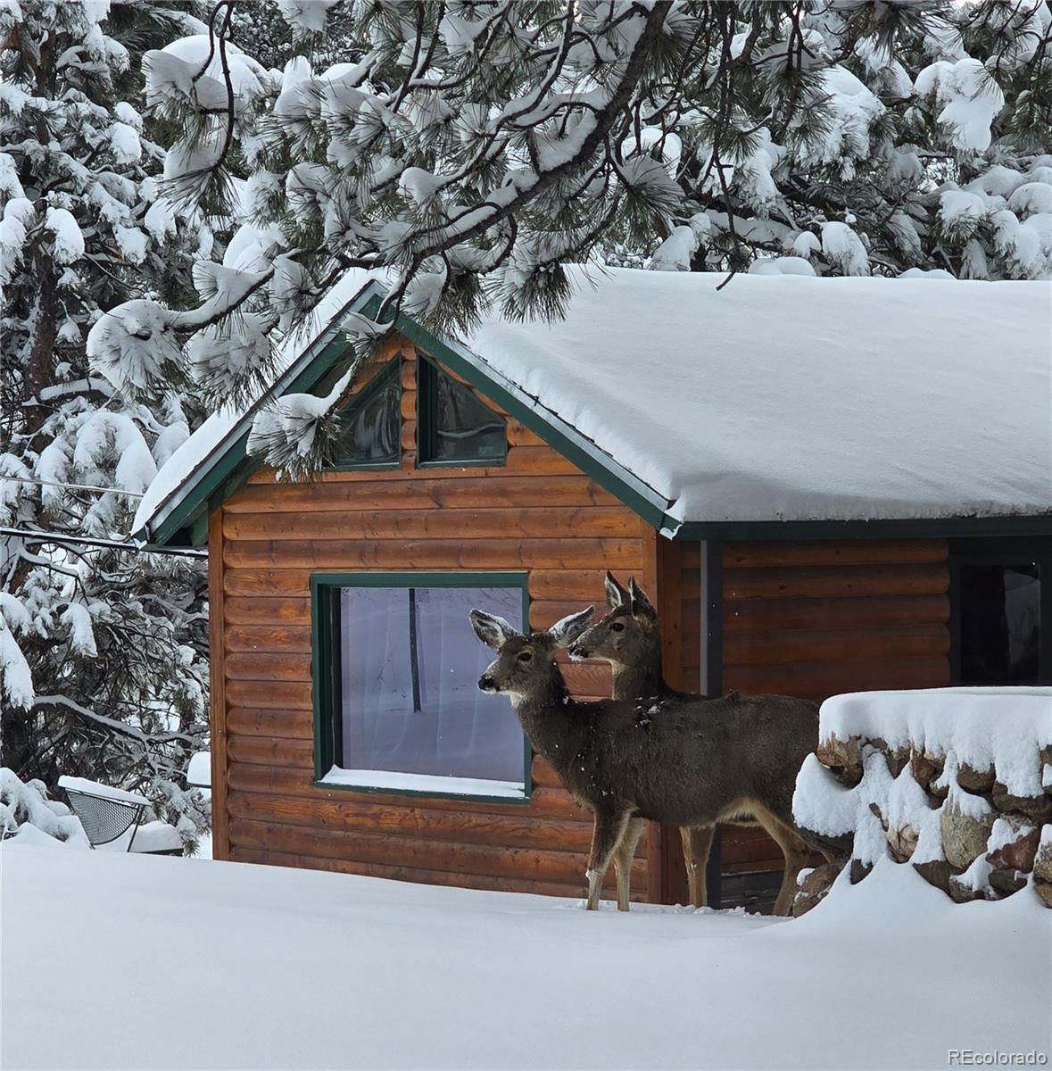 22901 Pinecrest Road Golden, CO 80401 - Photo 37 of 39