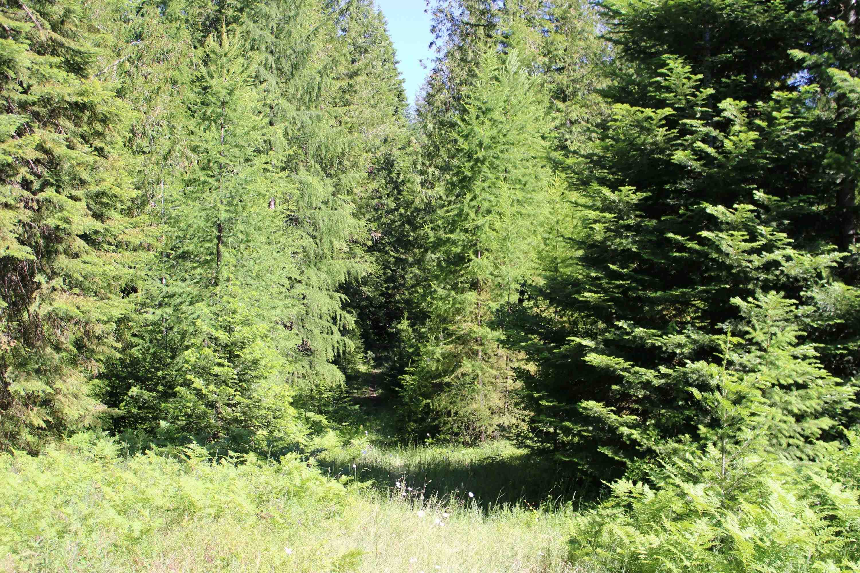 468 Ranch Road Deer Park, WA 99006 - Photo 2 of 8