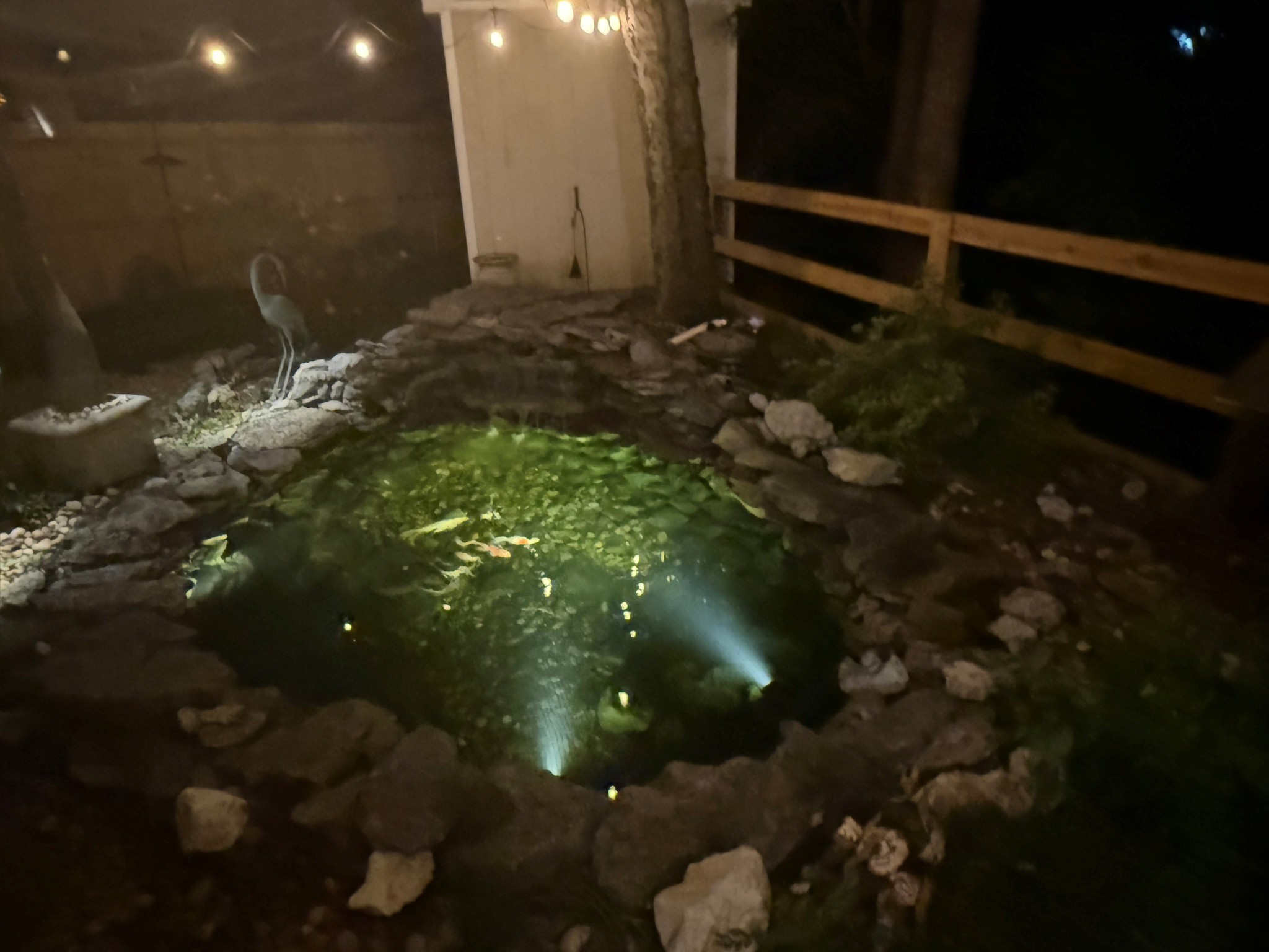 4025 Deer Run Trace Spring Hill, TN 37174 - Photo 38 of 54 a backyard of a house