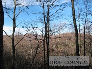 Bob Timberlake Boone, NC 28607 - Photo 1 of 1 a view of a forest