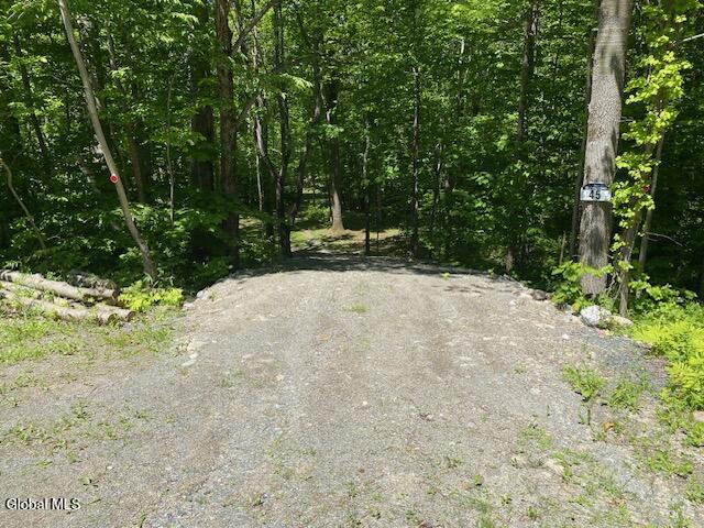 45 Weaver Dam Road Petersburgh, NY 12138 - Photo 17 of 21 IMG_5992